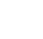 Sprint Icon